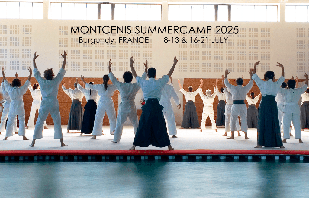 Stage Kinomichi Montcenis - Takeharu Noro