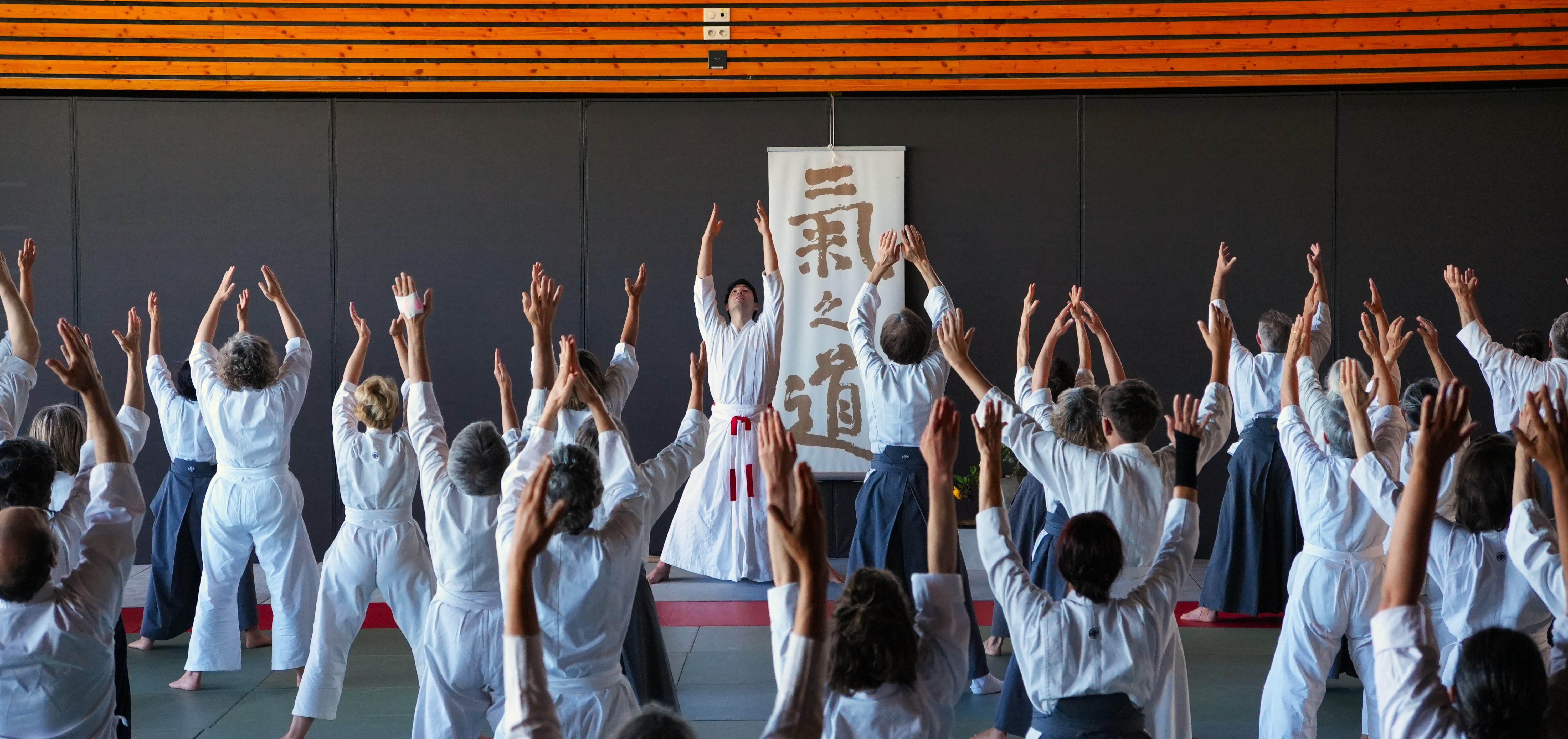 Kinomichi Terre Ciel Taulignan Takeharu Noro soke